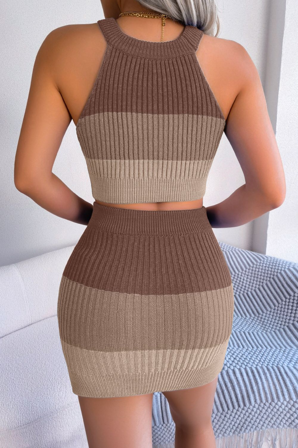 Color Block Sleeveless Crop Knit Top & Skirt Set
