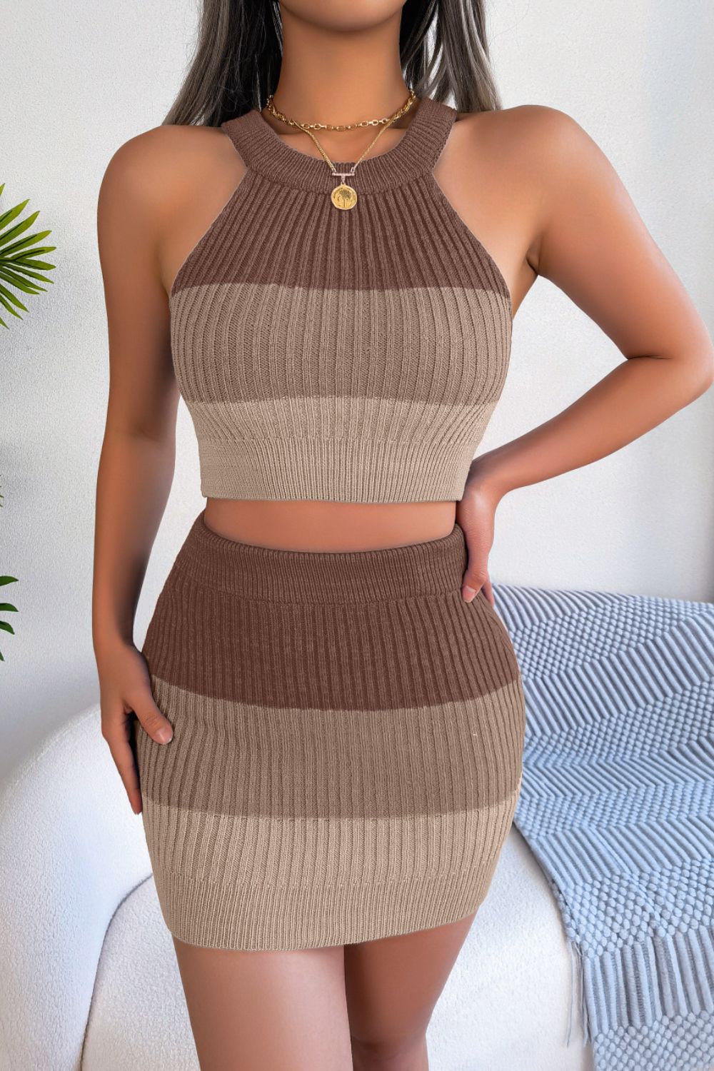 Color Block Sleeveless Crop Knit Top & Skirt Set