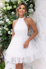 Load image into Gallery viewer, Halter Neck Backless Mesh Dress
