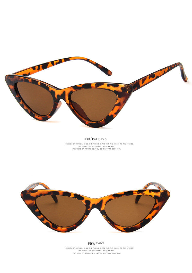 Cat's Out the Bag | Tortoiseshell Cat-Eye Sunglasses