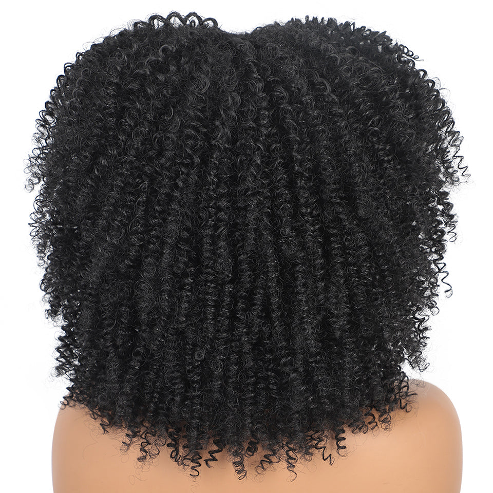 Synthetic Curly Wig With Bangs | Short Everyday Curly Hair Wig